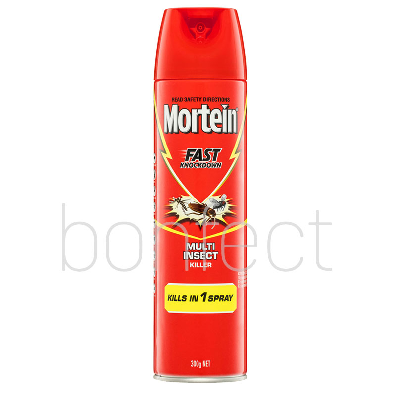 Mortein Powergard Insect Spray Flying Insect Killer 300g